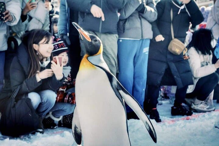 Hokkaido Day Tour: Asahiyama Zoo, Blue Pond & Farm Tomita in One Day photo 4