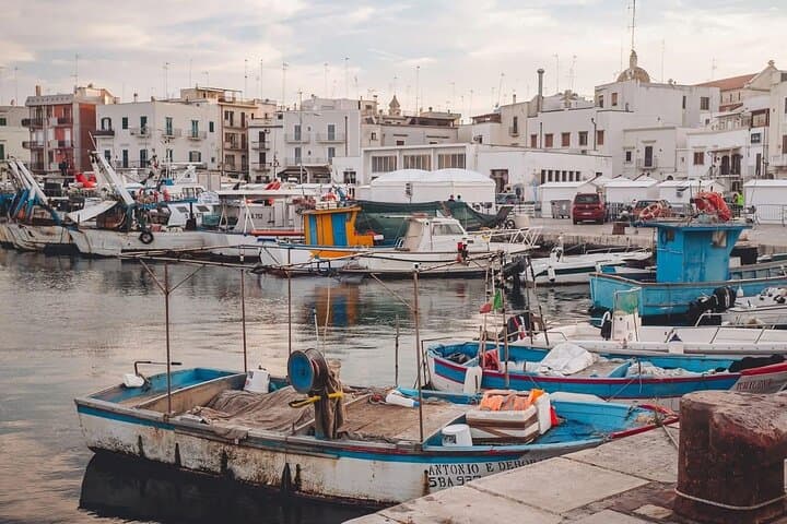 Port of Mola Fishing Culture Walk — Stories & Traditions of Puglia