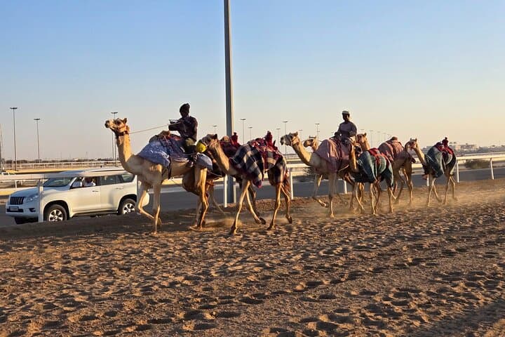 North & West Qatar Full-Day Tour — Al Khor, Zubara, Zekreet and Desert Sights photo 5