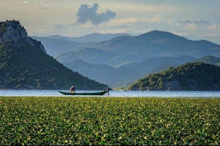 Sunset Walk at Skadar Lake National Park from Podgorica — Easy Evening Hike & Views photo 3