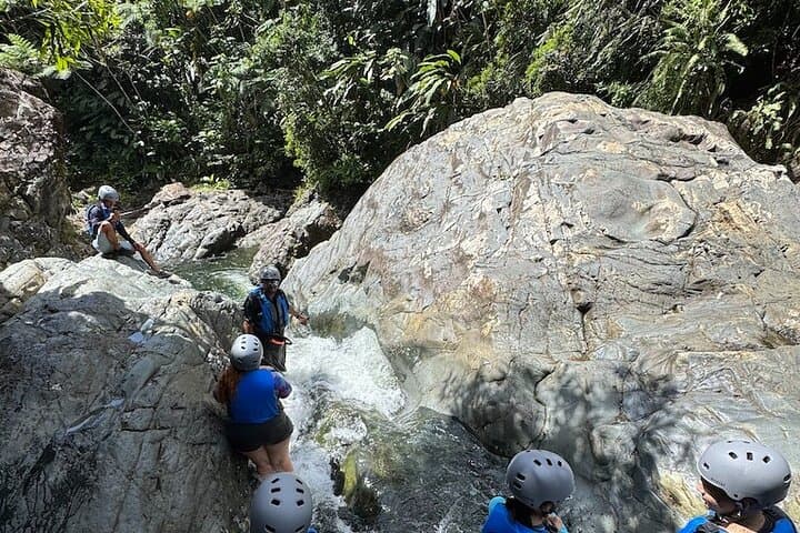 El Yunque Rainforest and River Adventure: Hike, Swim & Waterfall Tour from Rio Grande