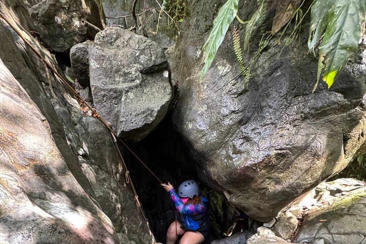 El Yunque Rainforest and River Adventure: Hike, Swim & Waterfall Tour from Rio Grande photo 3