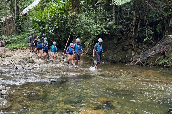 El Yunque Rainforest and River Adventure: Hike, Swim & Waterfall Tour from Rio Grande photo 6