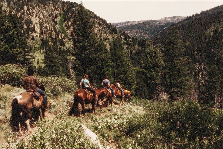 Boise National Forest Guided Horseback Trail Rides from Deadwood Lodge photo 2
