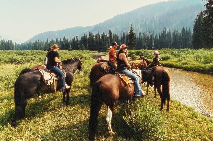 Boise National Forest Guided Horseback Trail Rides from Deadwood Lodge