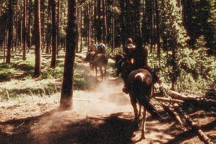 Boise National Forest Guided Horseback Trail Rides from Deadwood Lodge photo 3