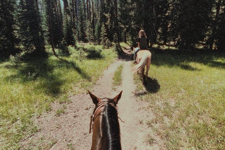 Boise National Forest Guided Horseback Trail Rides from Deadwood Lodge photo 5