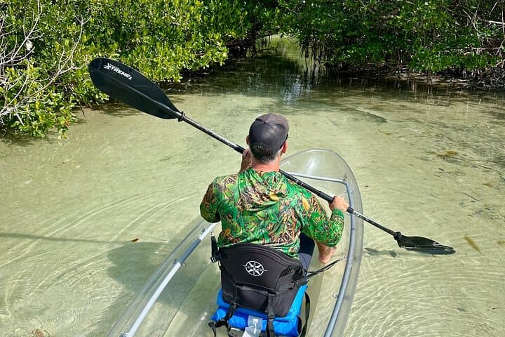 Clear Kayak Tour Through Siesta Key Mangroves and Midnight Pass photo 2