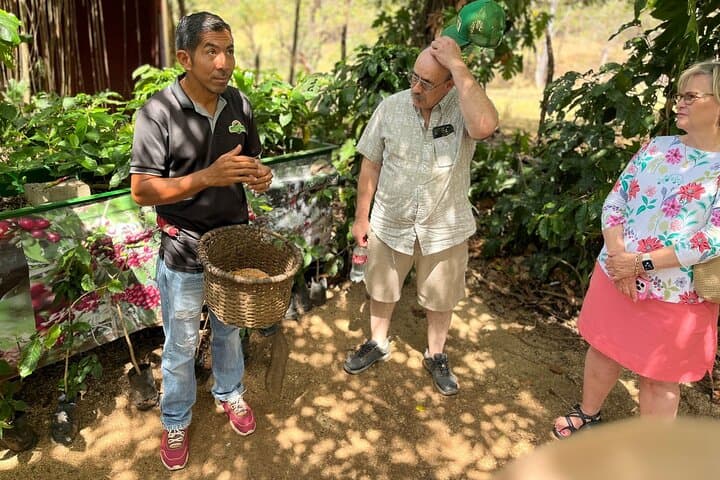 Coffee and Clay Cultural Tour in Santa Cruz — Hands-On Coffee Farm & Chorotega Pottery photo 3