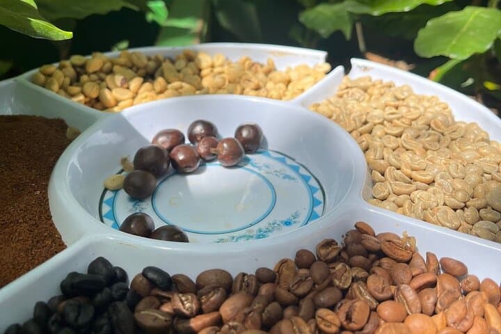 Coffee and Clay Cultural Tour in Santa Cruz — Hands-On Coffee Farm & Chorotega Pottery photo 2