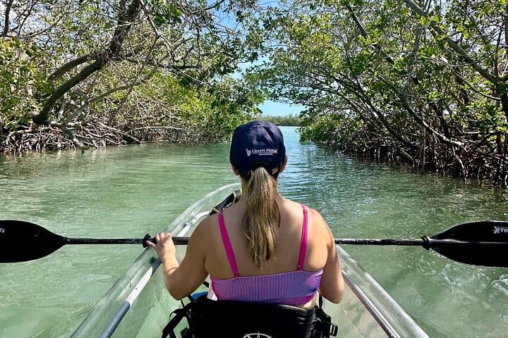 Clear Kayak Tour Through Siesta Key Mangroves and Midnight Pass