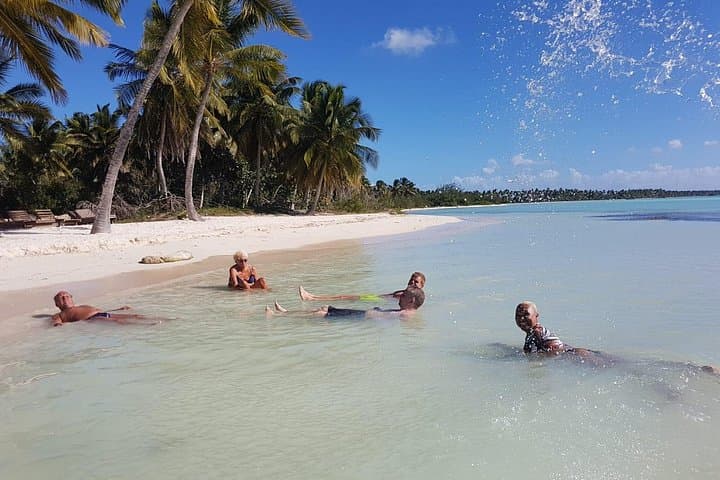 Private All-Inclusive Saona Island Boat Tour from Bayahibe photo 4