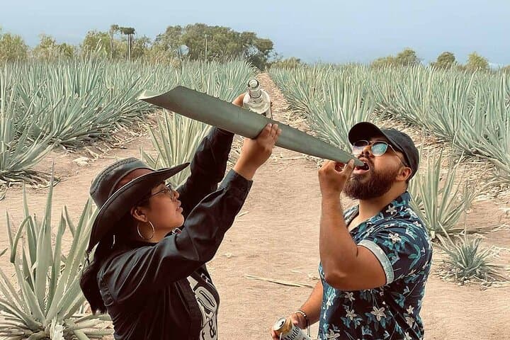 Oaxaca Mezcal Day Trip: Teotitlán to Matatlán Agave Fields and Tasting photo 4