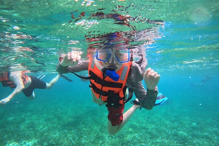 Snorkel Puerto Morelos Reef: 2-Hour Marine Park Adventure