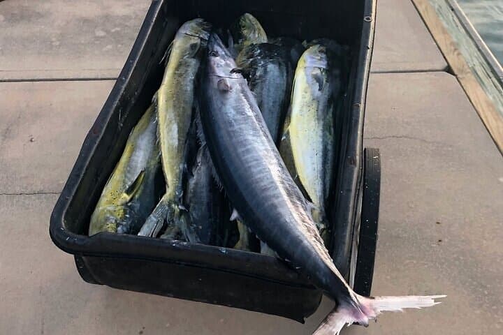 St. Augustine Fishing Charter: Inshore & Offshore Trips for Mahi, Tuna, Sailfish photo 2