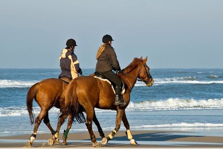 48-Hour Bahrain Adventure: Go-Karting, Horseback Beach Rides & Historic Sights photo 1