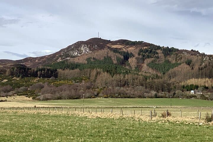 Fine Dram: Balblair Distillery, Dornoch & Pict Folklore Day Tour from Invergordon photo 4