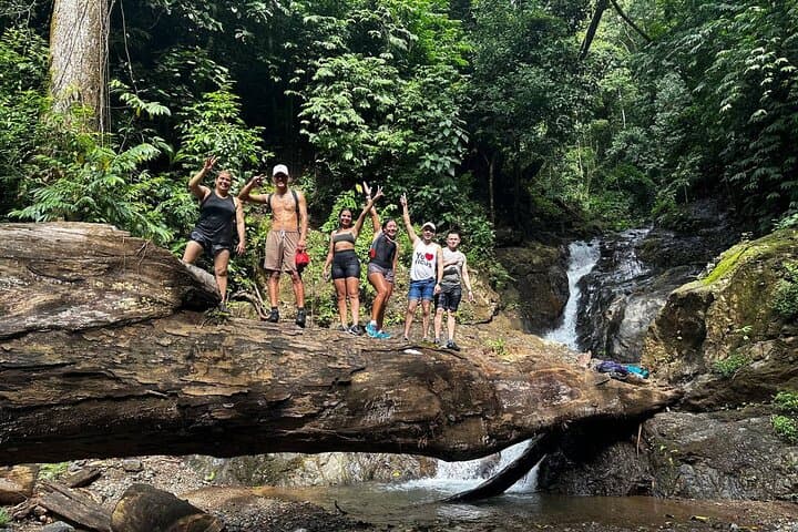 Jaco 4x4 Waterfalls Adventure: Jungle Hike, Natural Pools & Cliff Jumps