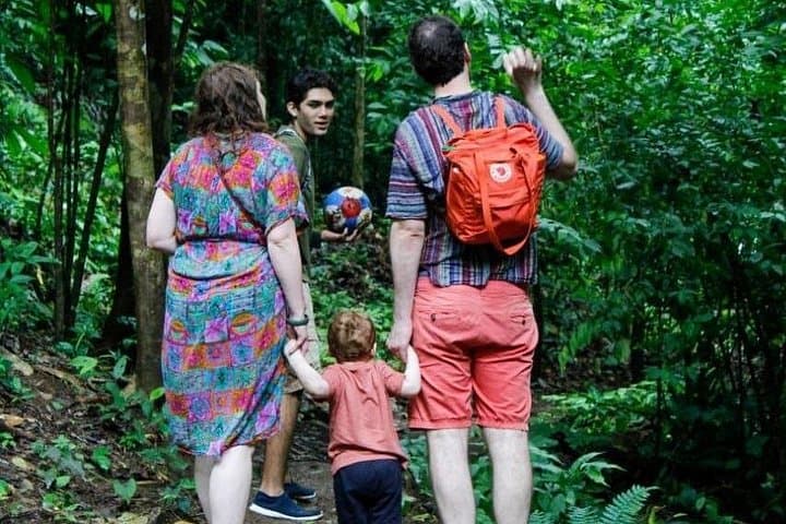 Jaco 4x4 Waterfalls Adventure: Jungle Hike, Natural Pools & Cliff Jumps photo 5