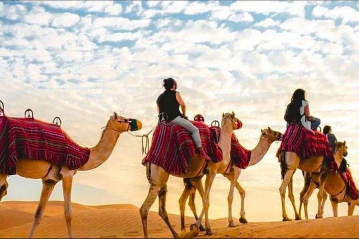Doha Desert Safari: Dune-Bashing, Camel Ride & Khor Al Adaid Inland Sea photo 4