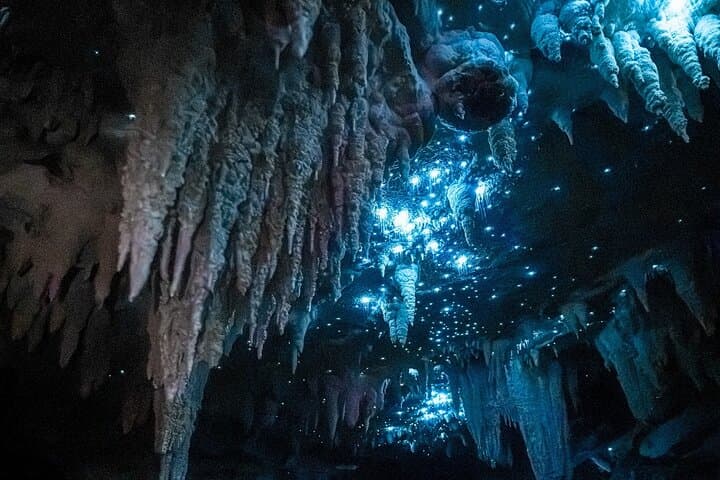 Milky Way Glowworm Cave Tour Near Auckland: Up-Close Glowworm Experience