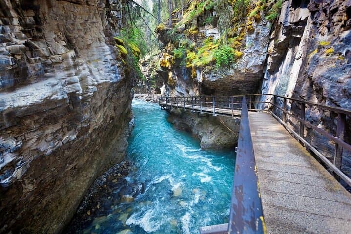 One-Day Rockies Classic: Lake Louise, Moraine, Emerald Lake & Johnston Canyon photo 6
