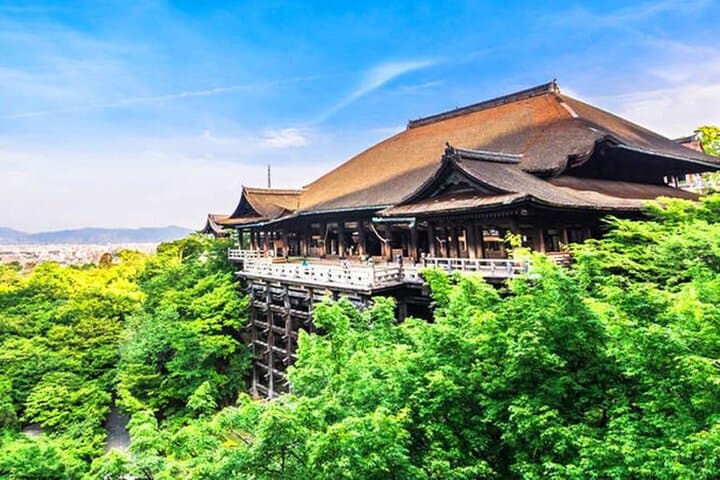 Kiyomizu, Fushimi Inari & Nara Park: Full-Day Kyoto Cultural Walk photo 1