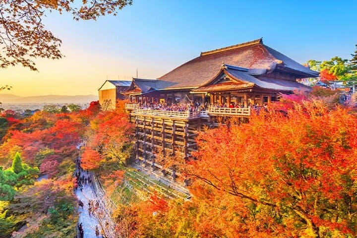 Kiyomizu, Fushimi Inari & Nara Park: Full-Day Kyoto Cultural Walk photo 2
