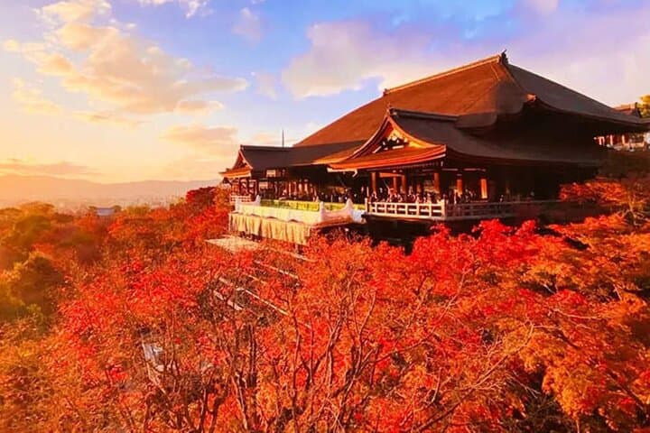 Kiyomizu, Fushimi Inari & Nara Park: Full-Day Kyoto Cultural Walk photo 3