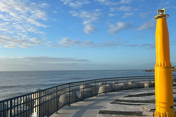Funchal to Cabo Girao Small-Group Tour: Skywalk, Câmara de Lobos & Eira do Serrado photo 6