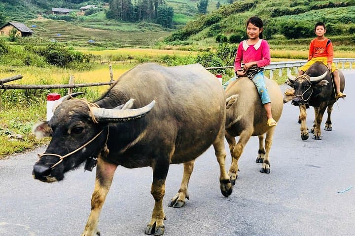 3-Day Bac Ha and Ban Phung Motorbike Tour from Sapa — Northern Vietnam Motorbike Adventure photo 1