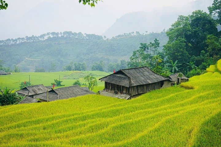 3-Day Bac Ha and Ban Phung Motorbike Tour from Sapa — Northern Vietnam Motorbike Adventure photo 2