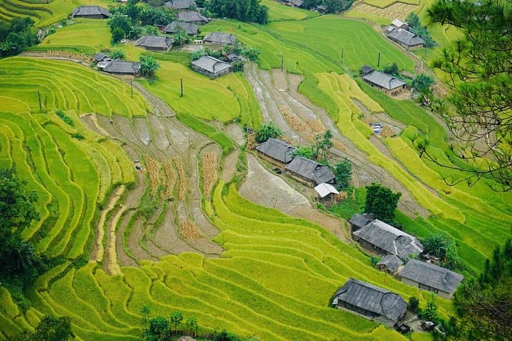3-Day Bac Ha and Ban Phung Motorbike Tour from Sapa — Northern Vietnam Motorbike Adventure photo 4