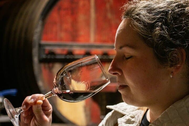 Douro Valley Premium Wine Tour: Winery Visits, Lunch & Private Pinhão Cruise photo 3