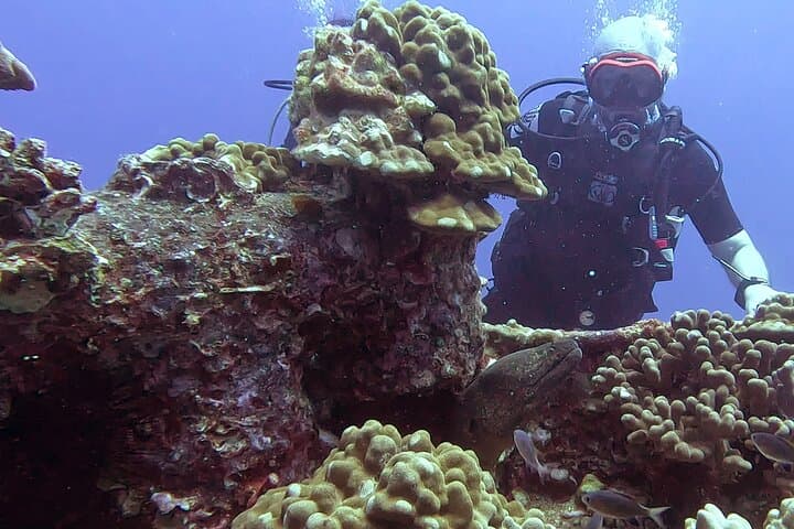 Waikiki Two-Tank Scuba: Certified Diver Wreck & Reef Adventure