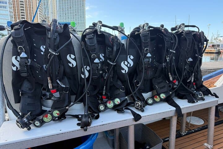 Waikiki Single‑Tank Reef Dive at Turtle Canyon — Certified Divers photo 2