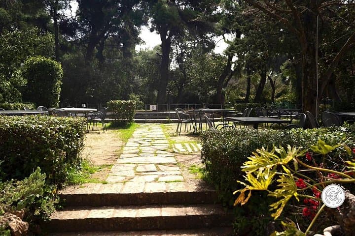 Play Like a Local: Athens Tennis Match, Coaching & Court Booking photo 2
