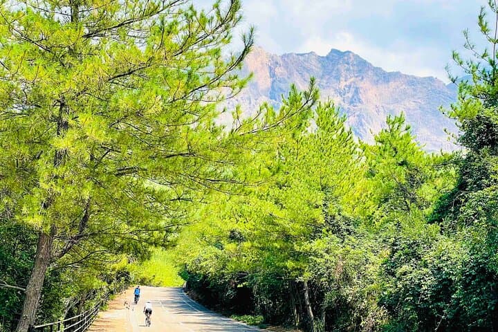 Sakurajima Lava E-Bike to Yunohira Observatory: Century Climb & History Tour