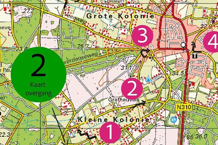 Private Car Rally Tour in Salland: Map-Reading Drive Through Dutch Countryside photo 3