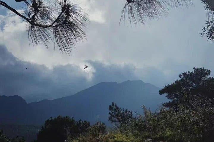 Cangshan meditational hike from Gantong to Zhonghe with organic dinner