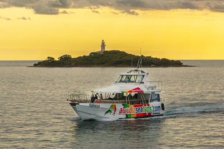 Fast Boat Dolphin Watching in Mallorca — Alcúdia High-Speed Dolphin Adventure photo 6