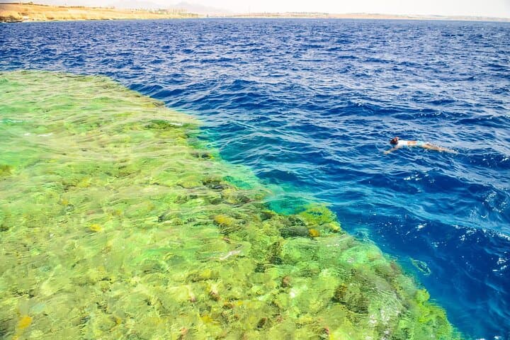 Ras Mohamed Snorkeling Tour from Sharm El Sheikh — Full-Day Trip to White Island & Red Sea Reefs photo 4