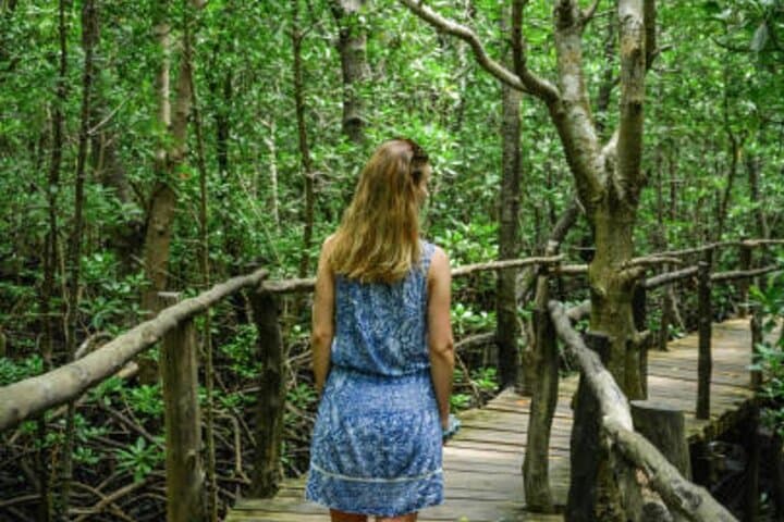 Jozani Forest and Zanzibar Spice Farm Day Tour photo 6
