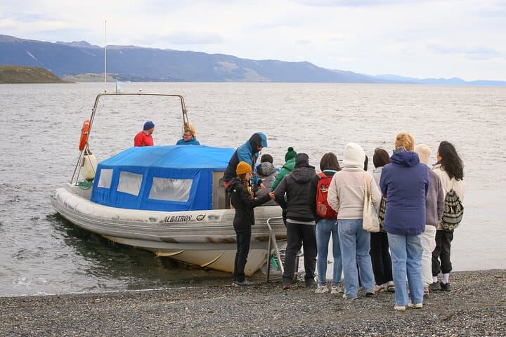 Beagle Channel to Isla Martillo: Ushuaia Boat Navigation and Penguin Walk photo 4