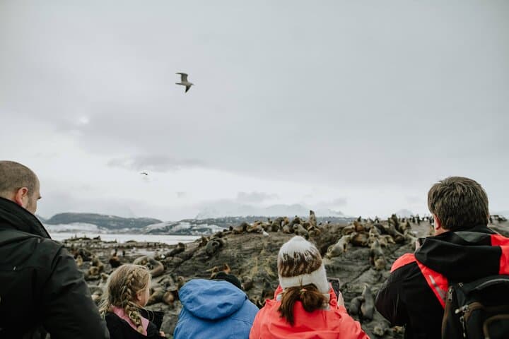Beagle Channel to Isla Martillo: Ushuaia Boat Navigation and Penguin Walk photo 3