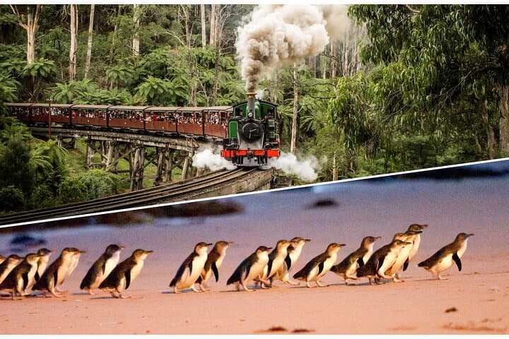 Puffing Billy to Penguin Parade: Dandenong Ranges and Phillip Island Day Tour