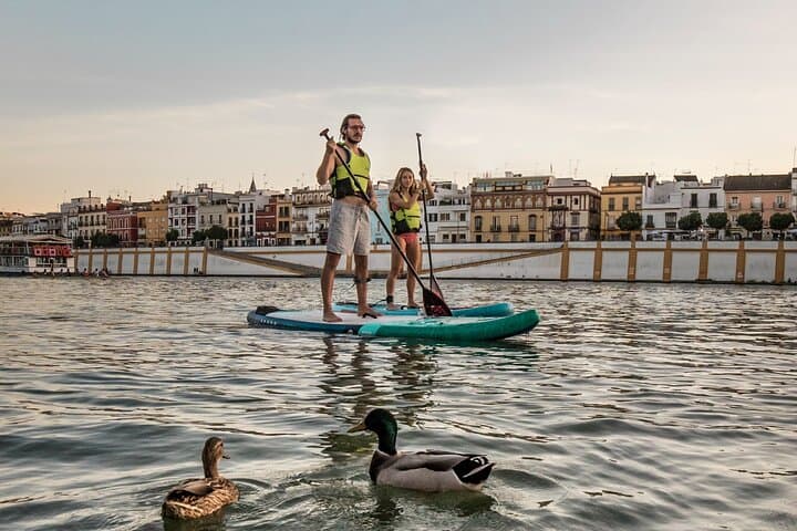 Paddleboarding the Guadalquivir: Rent a SUP in Seville (1–2 hrs) photo 3