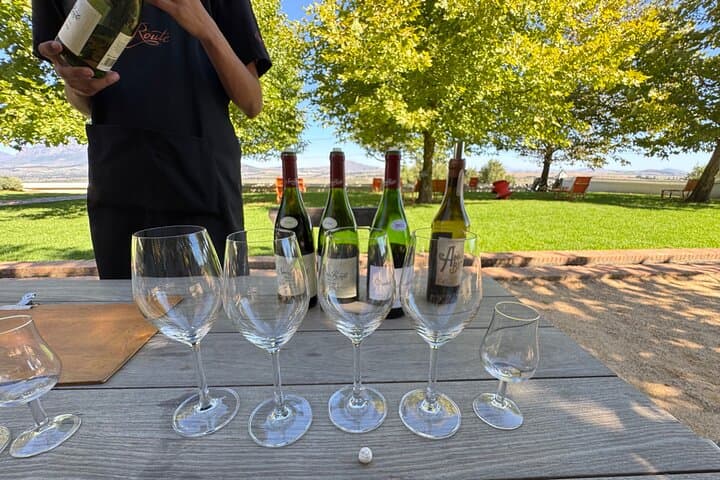 Full-Day Cape Winelands Tour: Stellenbosch, Franschhoek & Paarl photo 2