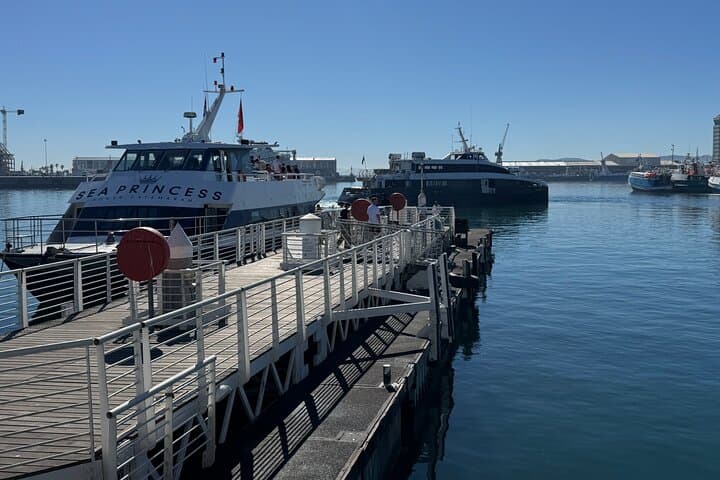 Robben Island Half-Day Tour — Skip-the-Line Ferry and Museum Experience from Cape Town photo 4