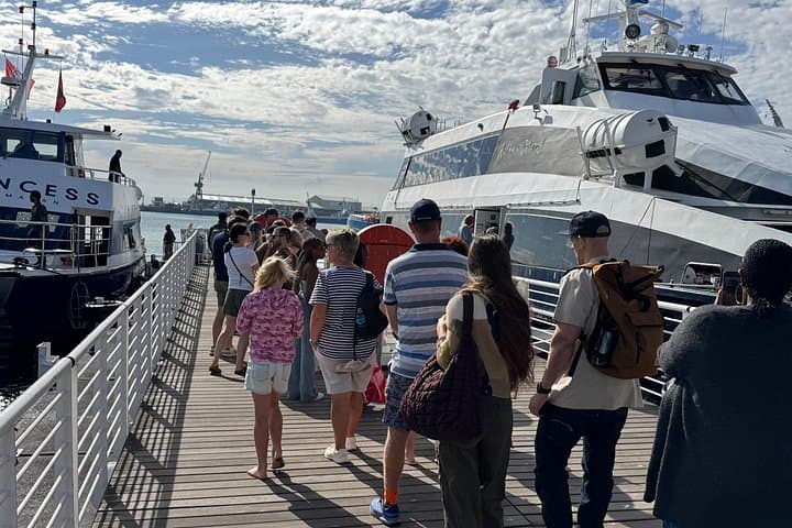 Robben Island Day Tour from Cape Town — Pre-Booked Tickets & Transfers photo 2